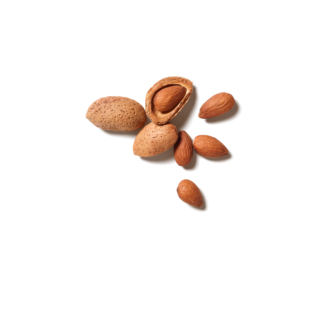 SWEET ALMOND